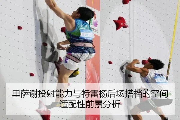 里萨谢投射能力与特雷杨后场搭档的空间适配性前景分析