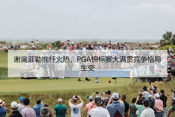xie-ao-fei-lei-tui-gan-huo-re-jin-biao-sai-da-man-guan-jing-zheng-ge-ju-sheng-bian-3-486.jpg