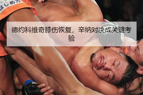 德约科维奇膝伤恢复，辛纳对决成关键考验