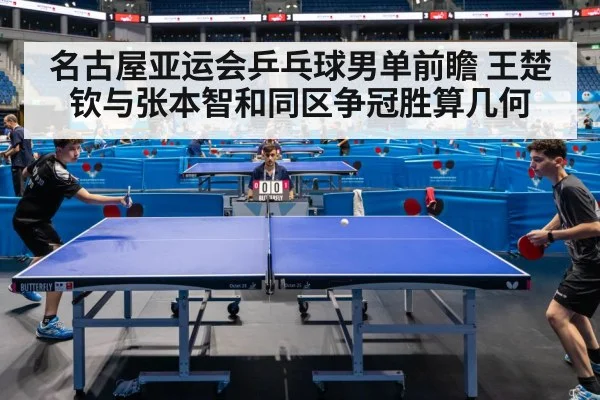 名古屋亚运会乒乓球男单前瞻 王楚钦与张本智和同区争冠胜算几何